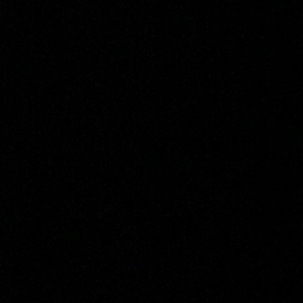 Meet your Posher, Lily